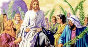 عيد الزعف رمز للحياة والنماء